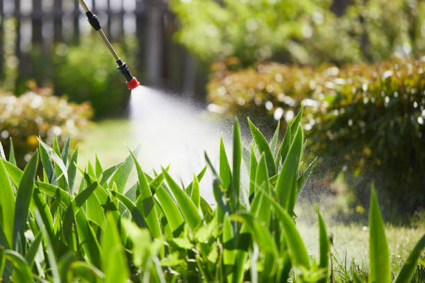 Tamper-Resistant Bait Stations for Rodents in Edgewater