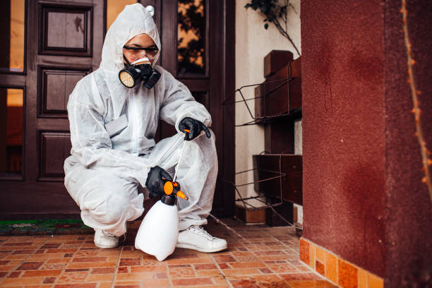 Attic and Crawl Space Rodent Treatment in Edgewater